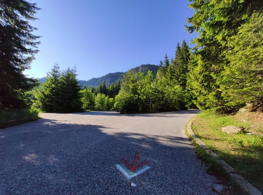 Private Full Day Cycling Tour in the Rhodope Mountains from Plovdiv or Smolyan
