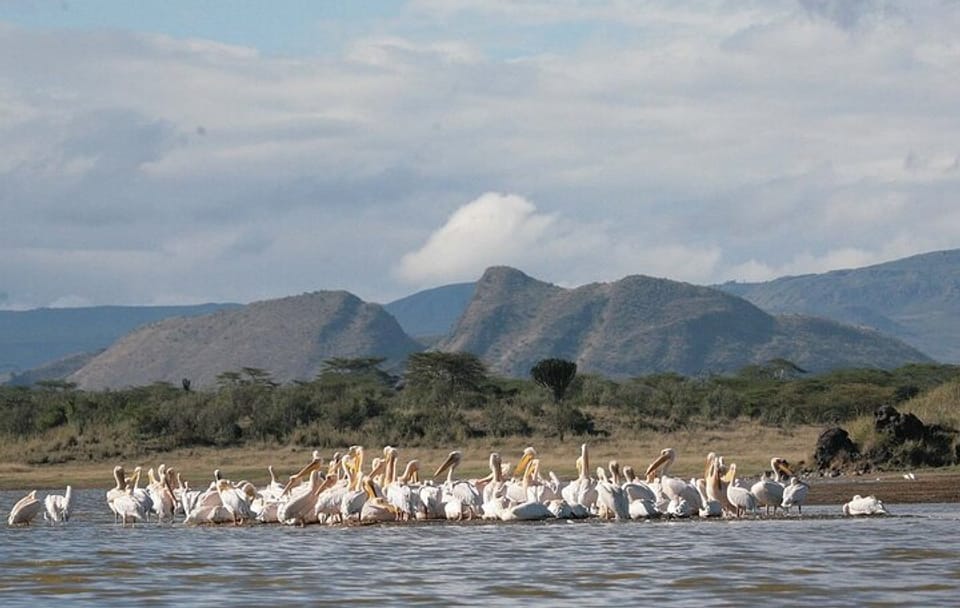 2 Days Prehistoric Tour in Elemantaita, Soysambu and Kariandusi