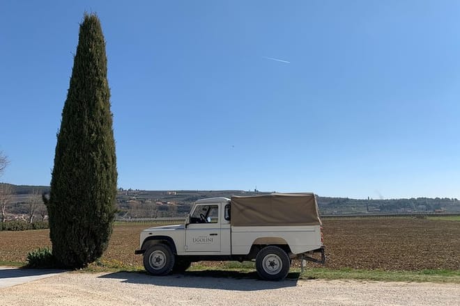 Private scenic transfer from Venice to Florence and vice versa 2