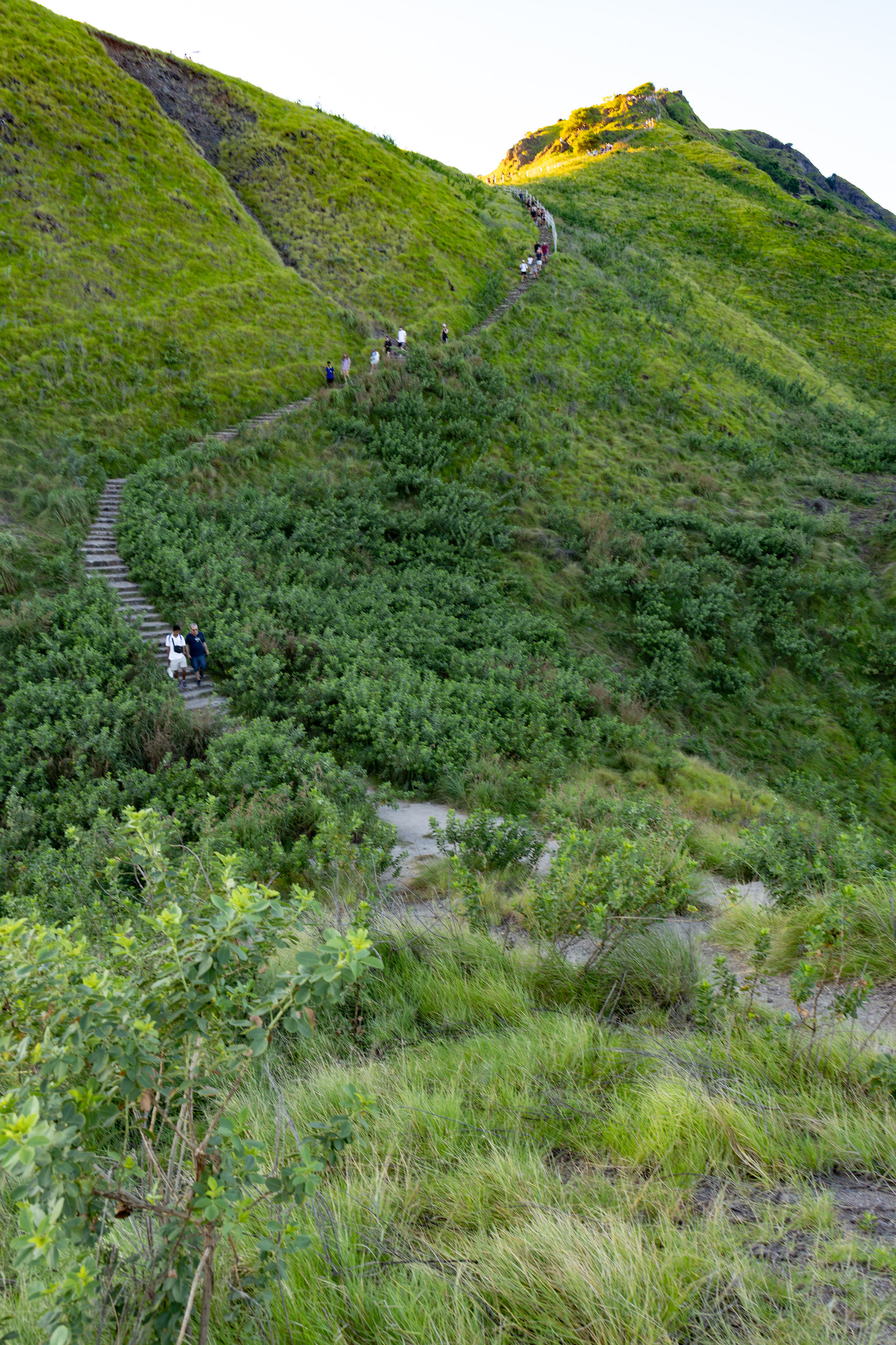 padar island greeny grass rain season view in padar island komodo national park indonesia