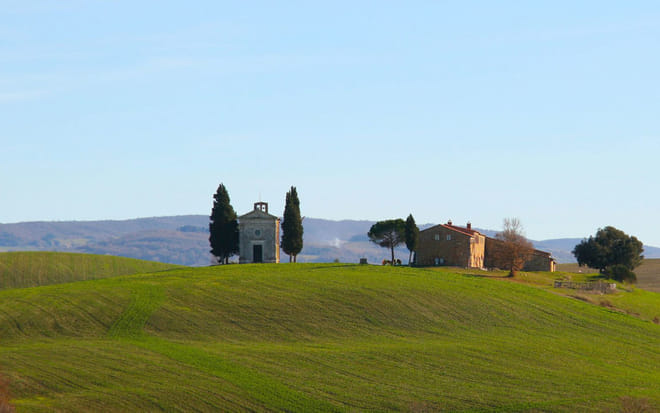 Val d’Orcia Wine Tour from Florence: Montalcino, Pienza & Brunello - Photo 3