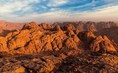 Hike Mount Sinai and Visit St. Catherine's Monastery Tour