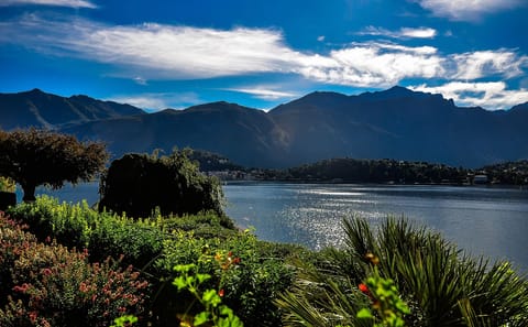 Private Walking Tour of Riva, Lake Como's Scenic Highlights