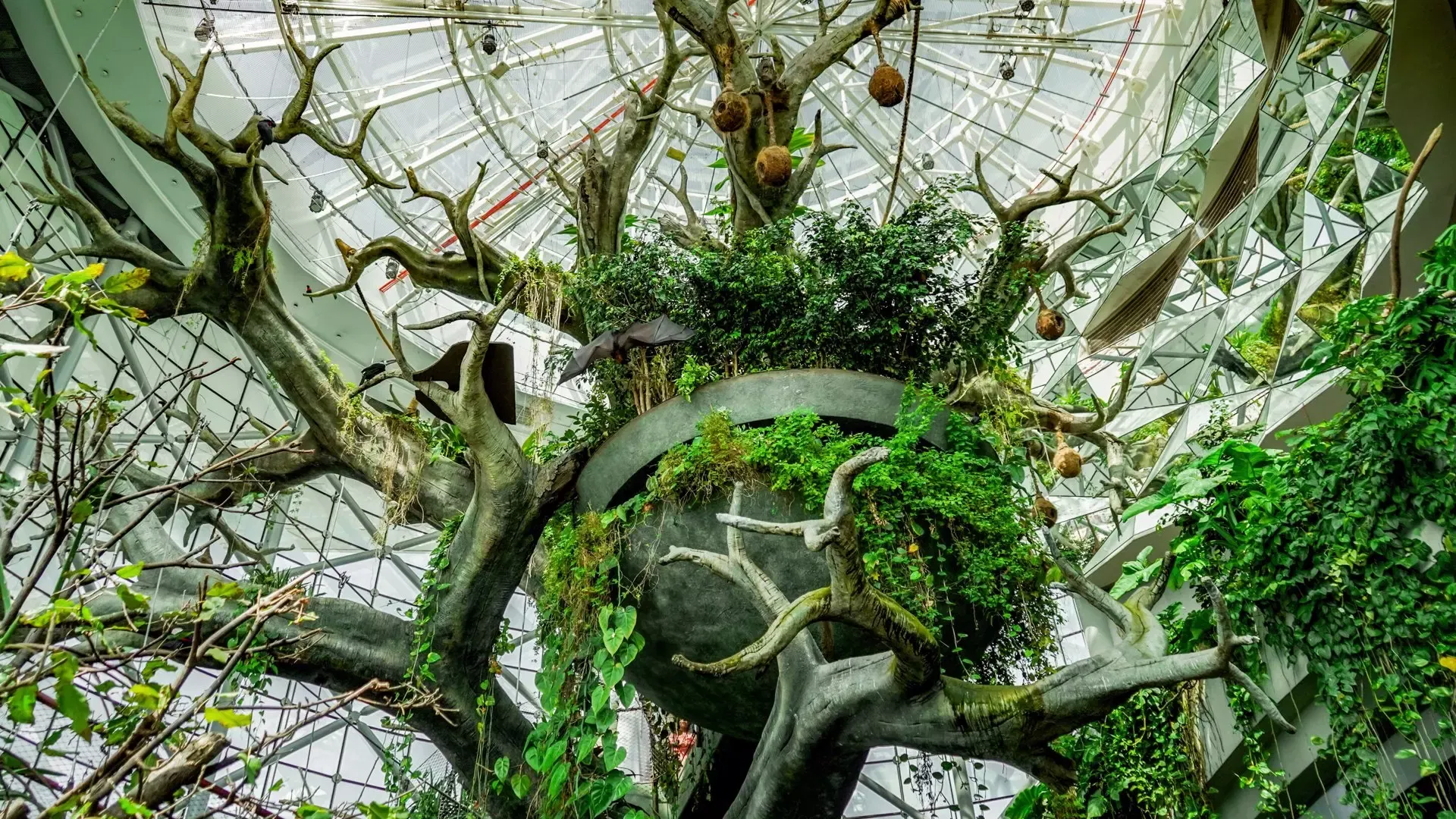 The canopy of the great indoor tree draped with climbing plants and hanging nests at The Green Planet Dubai