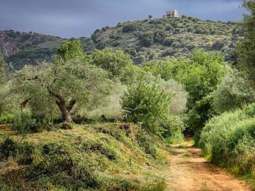 Private Half-Day Hiking Tour of Sarakina Gorge in Chania