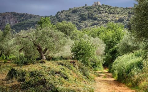Private Half-Day Hiking Tour of Sarakina Gorge in Chania