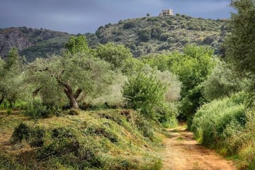 Private Half-Day Hiking Tour of Sarakina Gorge in Chania