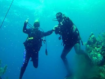 Roatan 2 Tank Fun Diving Experience
