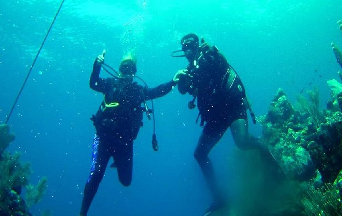 2 Tank Roatan Fun Dive, Boat Sightseeing Tour, including ground transportation