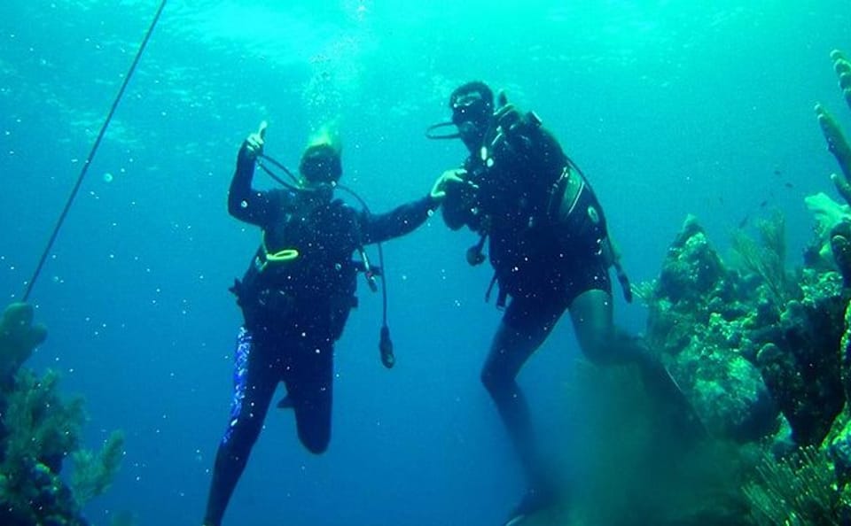 2 Tank Diving and Boat Tour in Coxen Hole, Roatan