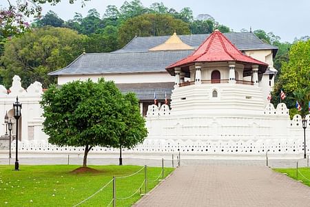 Airport (CMB) to Kandy Private Taxi 24/7 Car, Van.