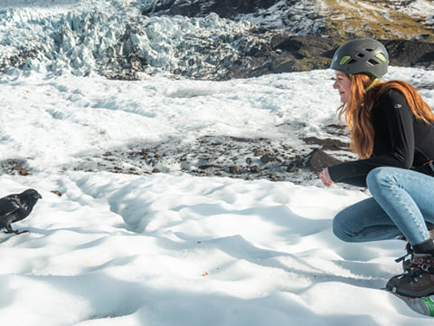Private Glacier Lagoon + Diamond Beach + Glacier Hike , photo 14