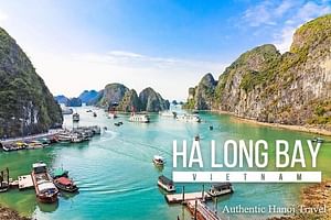 Halong Bay and Cave Full-Day Cruise,Lunch,Cave,Island,Beach from Hanoi