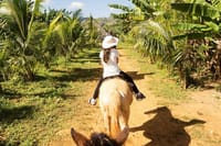 Horseback Riding, Buggies, and Beach Escape Amber cove Taino Bay 2