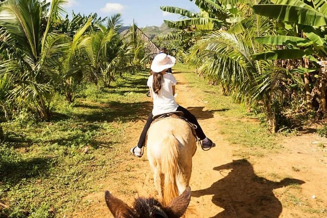 Horseback Riding, Buggies, and Beach Escape Amber cove Taino Bay 2