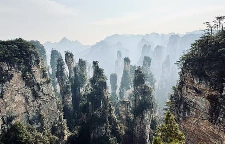 Private Day Tour of Zhangjiajie National Forest Park