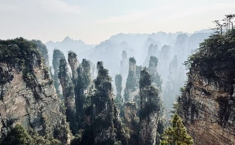 Private Day Tour of Zhangjiajie National Forest Park