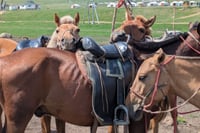2 Day Gorkhi Terelj Tour Horse Riding, Hiking and Ger Stay 2