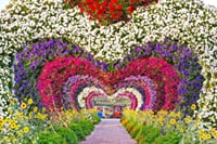 Dubai Miracle & Butterfly Garden Entrance Tickets 2