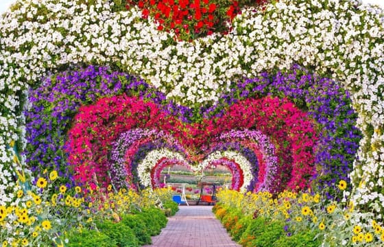Dubai Miracle & Butterfly Garden Entrance Tickets