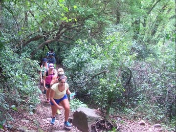 Small Circuit with Yungas in Tucuman
