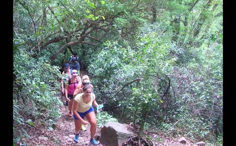 Half-Day Nature Tour in the Yungas from Tucumán