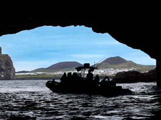 1 hour RIB boat tour, photo 7