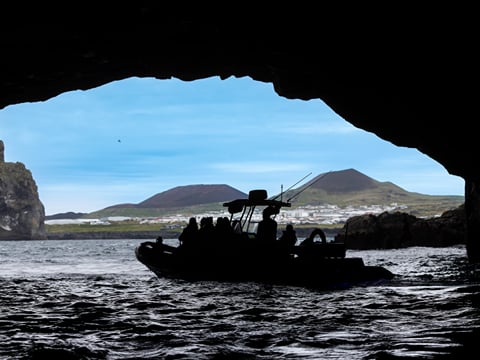 1 hour RIB boat tour, photo 7