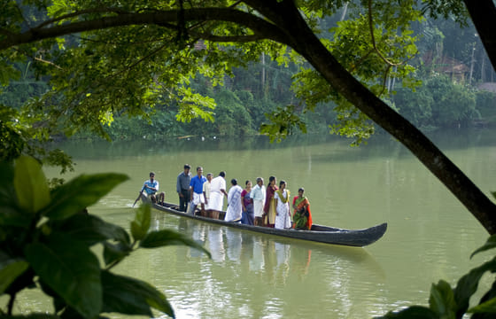 Coastal Serenity: Backwaters, Tea Estates & Marari Beach