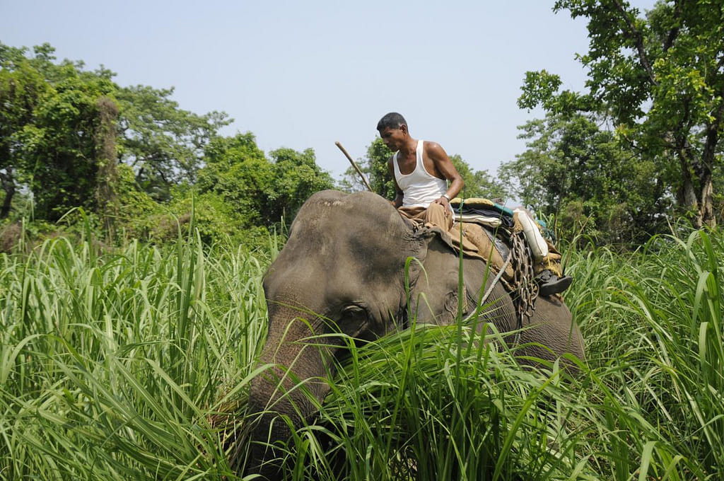 19 Days Mera Peak Climbing & Expedition – One Life-Changing Himalayan Adventure