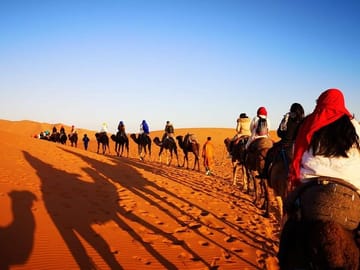 sahara