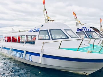 Cham Island Discovery & Snorkeling: Full-Day Tour from Hoi An