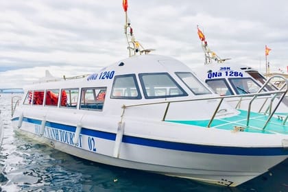 Cham Island Discovery and Snorkeling Tour from Hoi An