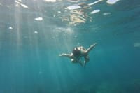 Catalina Island+Snorkeling 8