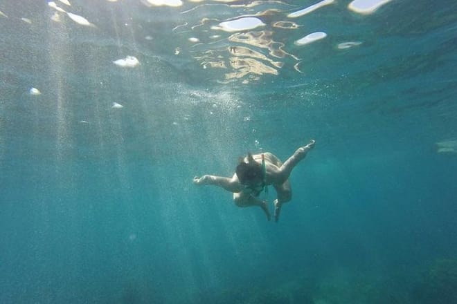 Catalina Island+Snorkeling 8