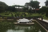 Lotus Hill