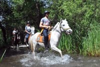 Horse Riding Tour in Kusadası with Friendly Horses and Instructor 6