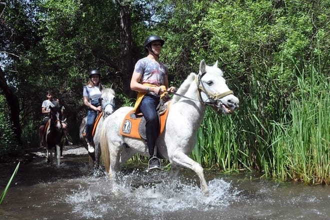 Horse Riding Tour in Kusadası with Friendly Horses and Instructor 6
