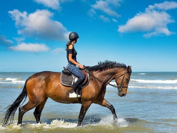 Beach Horse Riding Experience in Hurghada with Transfers
