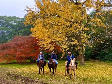 Polo Lesson and Argentine Barbecue Experience in Buenos Aires