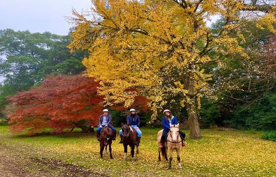 Polo Lesson Experience at Villa Maria with Argentinean Barbecue