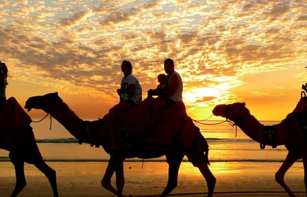 Horseback Riding Adventure in Hurghada, Egypt