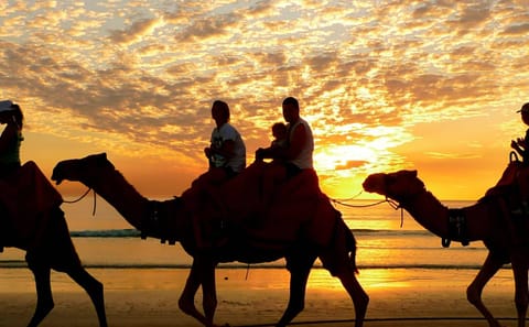 Horseback Riding Adventure in Hurghada, Egypt