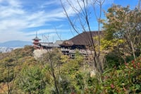 Sacred Treasure Fushimi Inari and Kiyomizu Dera Tour 7