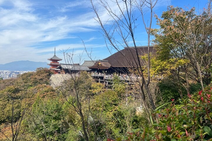 Sacred Treasure Fushimi Inari and Kiyomizu Dera Tour 7