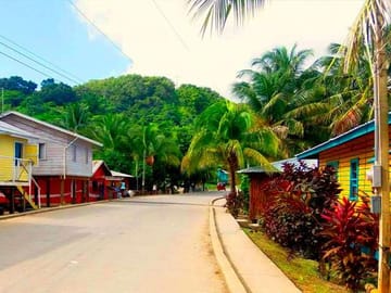 Punta Gorda Village