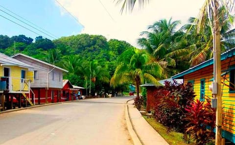 Pirate Boat Adventure and East End Tour in Coxen Hole