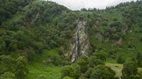 From Dublin: Wicklow, Glendalough, Waterfall & Sheepdog demo 10