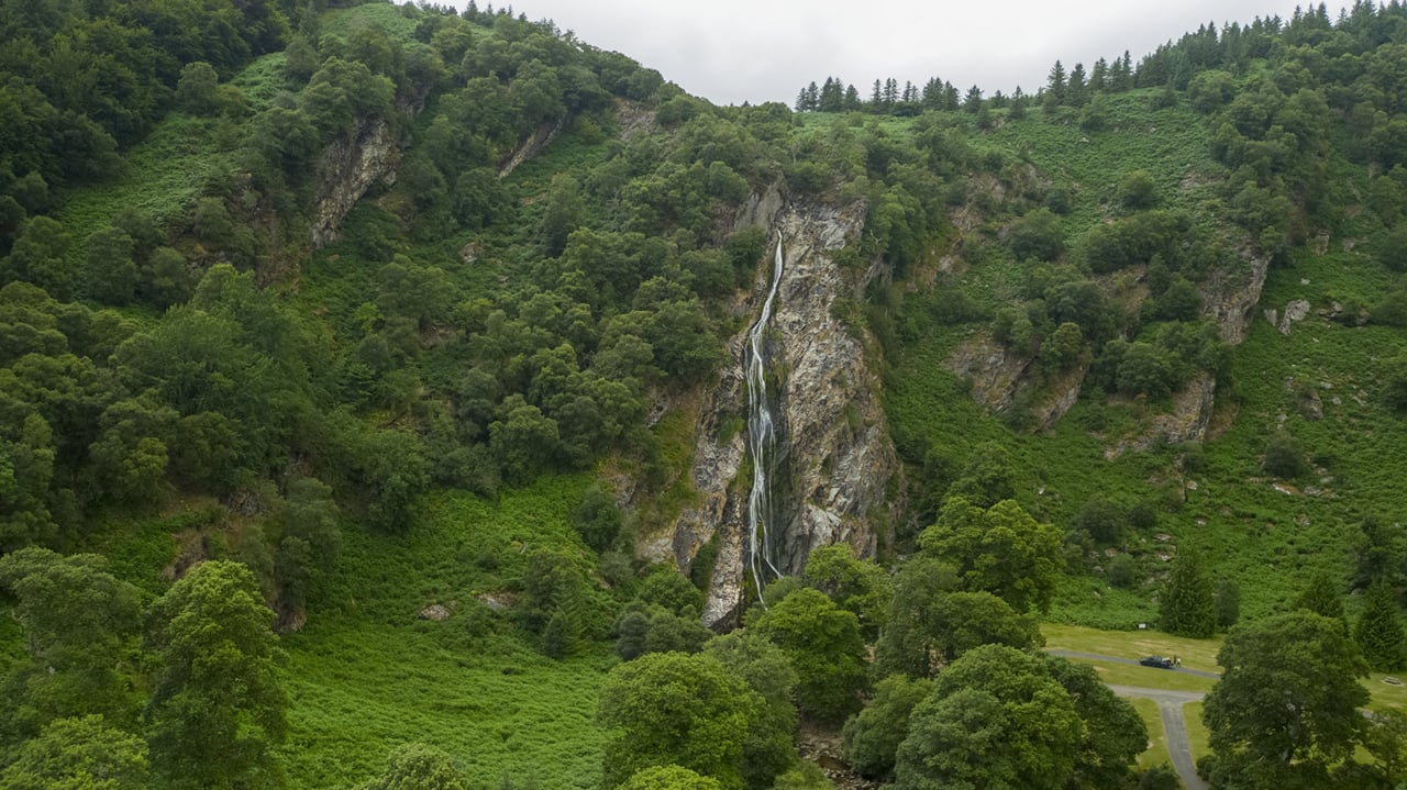 From Dublin: Wicklow, Glendalough, Waterfall & Sheepdog demo 10