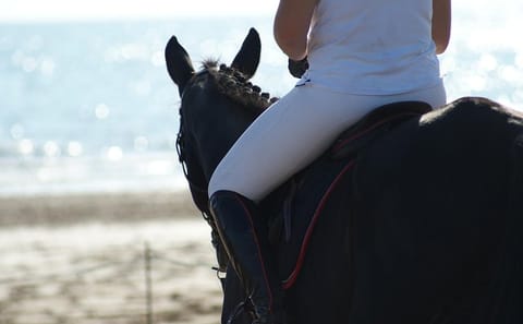 Horseback Riding Along the Beaches of Rhodes, Greece